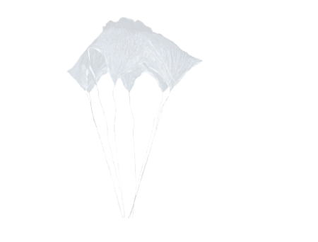 Parachute for 120 mm and 81 mm